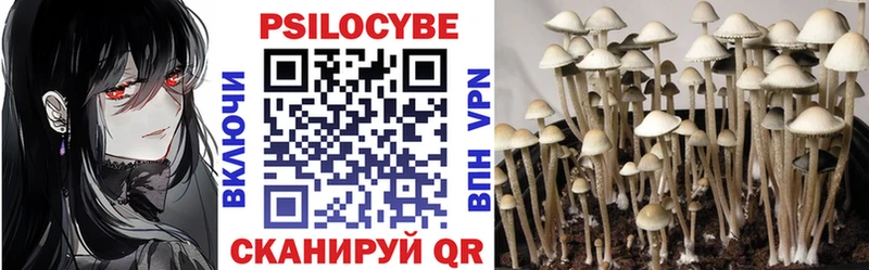 Псилоцибиновые грибы GOLDEN TEACHER  Рязань 
