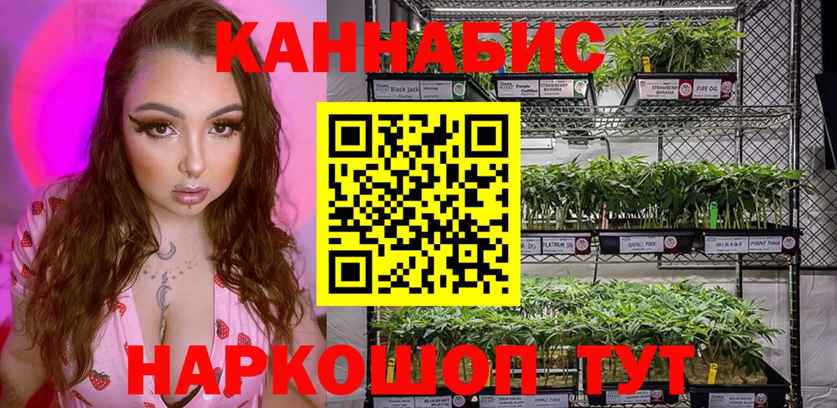 МАРИХУАНА ГИДРОПОН  Бошки Шишки ГИДРОПОН  Вход с VPN  Рязань 